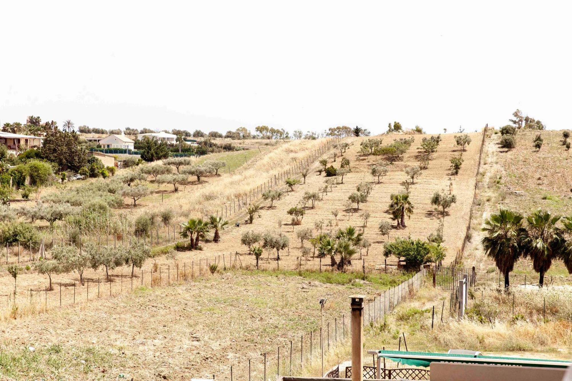 Le Case Di Lucioli' San Leone Ngoại thất bức ảnh